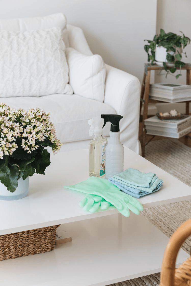 Ortega's cleaning service